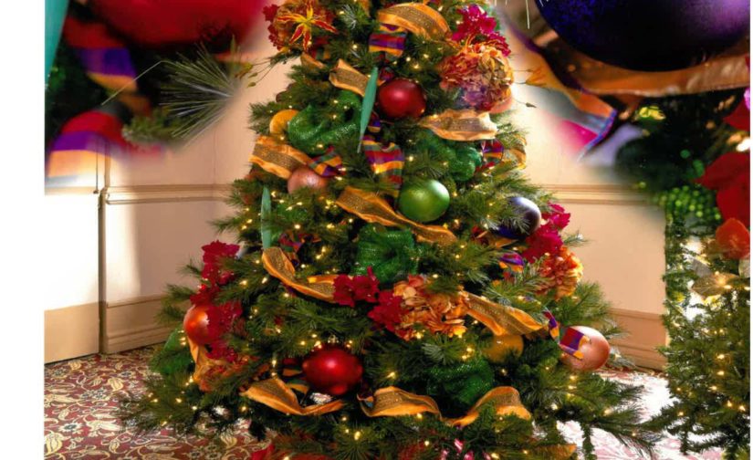 Fiesta De Las Flores