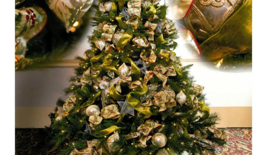 Star Light, Star Bright