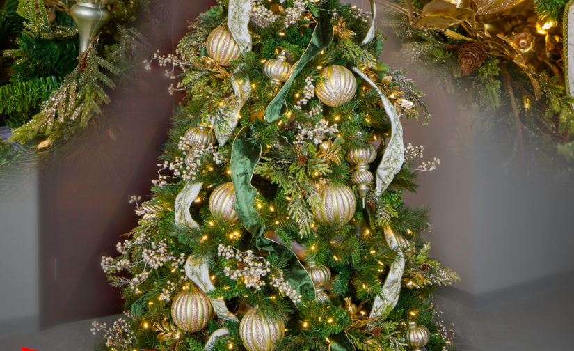 Ever Green, Ever Gold