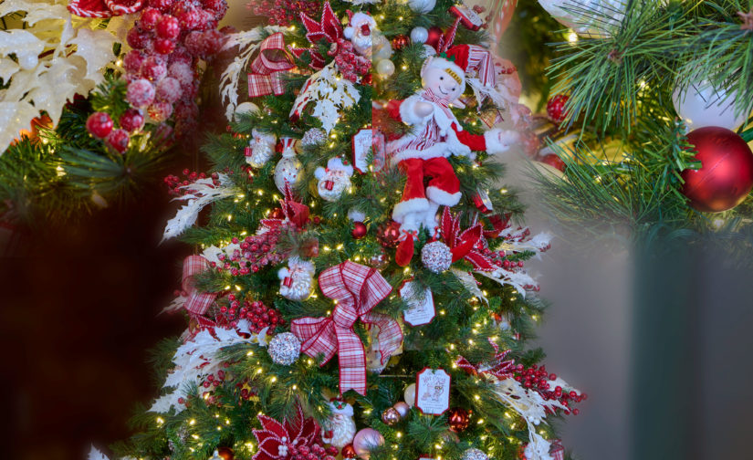 Peppermint and Cocoa